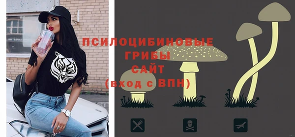 ECSTASY Алексин