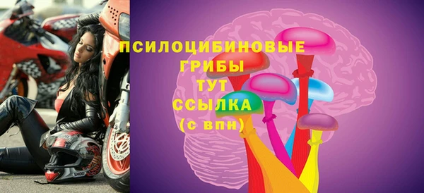 ALPHA-PVP Алексеевка